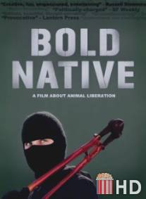 Bold Native