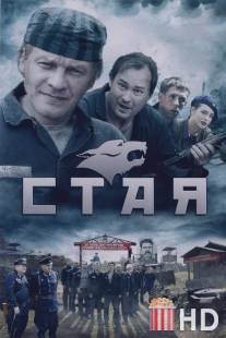 Стая / Staya