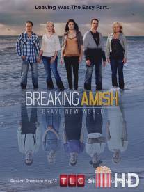 Амиши: Найти новую жизнь / Breaking Amish