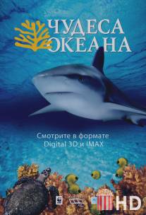 Чудеса океана 3D / Ocean Wonderland