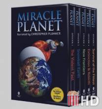 Чудесная планета / Miracle Planet