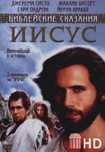 Иисус. Бог и человек / Jesus