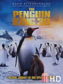 Король пингвинов / Penguin King, The