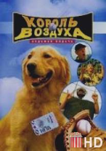 Король воздуха: Седьмая подача / Air Bud: Seventh Inning Fetch