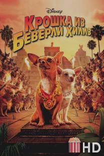 Крошка из Беверли-Хиллз / Beverly Hills Chihuahua