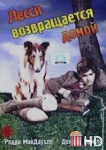 Лесси возвращается домой / Lassie Come Home