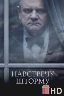 Навстречу шторму / Into the Storm