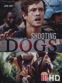 Отстреливая собак / Shooting Dogs