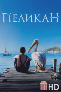 Пеликан / Nicostratos le pelican