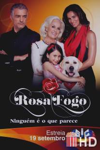 Роза в огне / Rosa Fogo