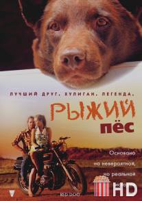 Рыжий пес / Red Dog