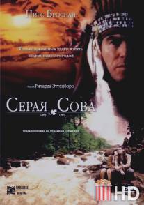 Серая сова