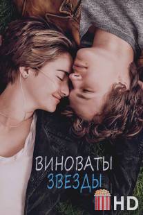 Виноваты звезды / Fault in Our Stars, The