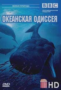 BBC: Океанская одиссея / Ocean Odyssey