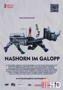 Носорог скачет галопом / Nashorn im Galopp