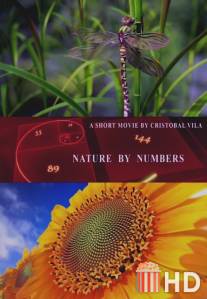 Природа в числах / Nature by Numbers