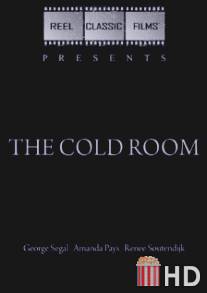 Комната страха / Cold Room, The