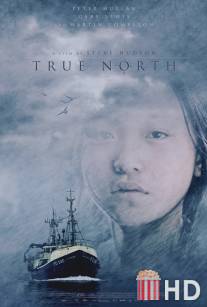 Настоящий север / True North