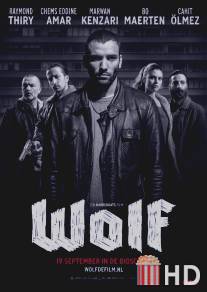 Волк / Wolf