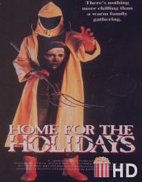 Домой на праздники / Home for the Holidays