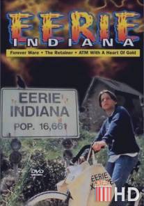 Другое измерение / Eerie, Indiana: The Other Dimension