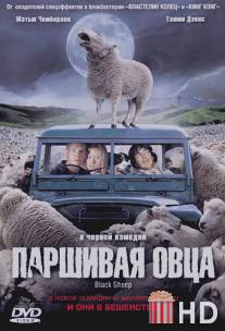 Паршивая овца / Black Sheep